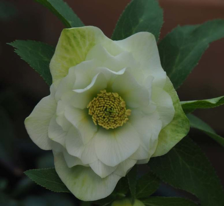P3086891