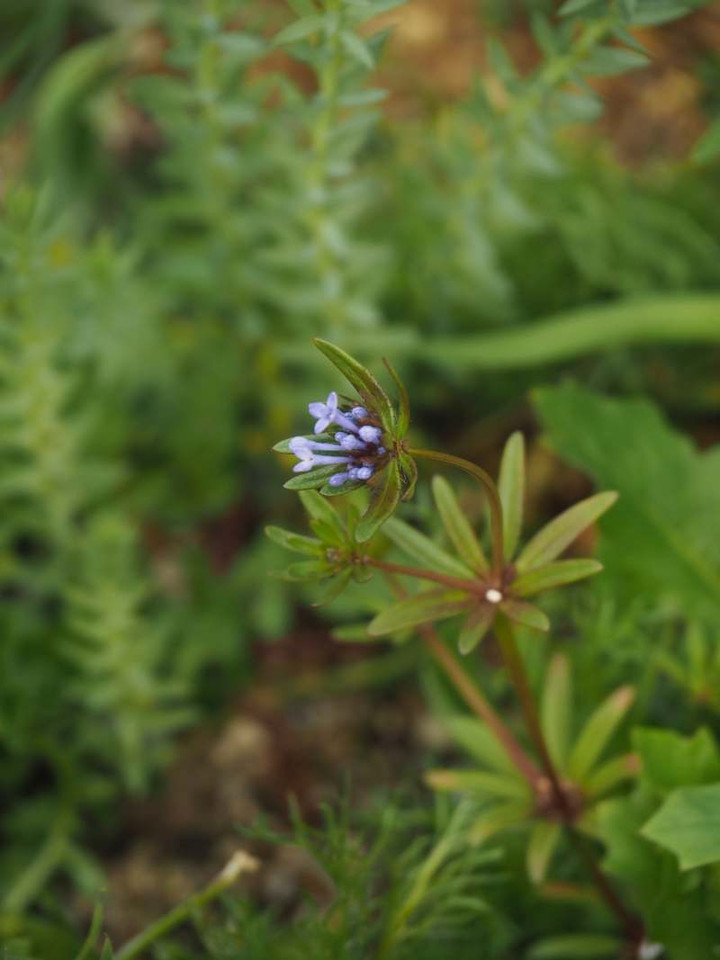 P3096915