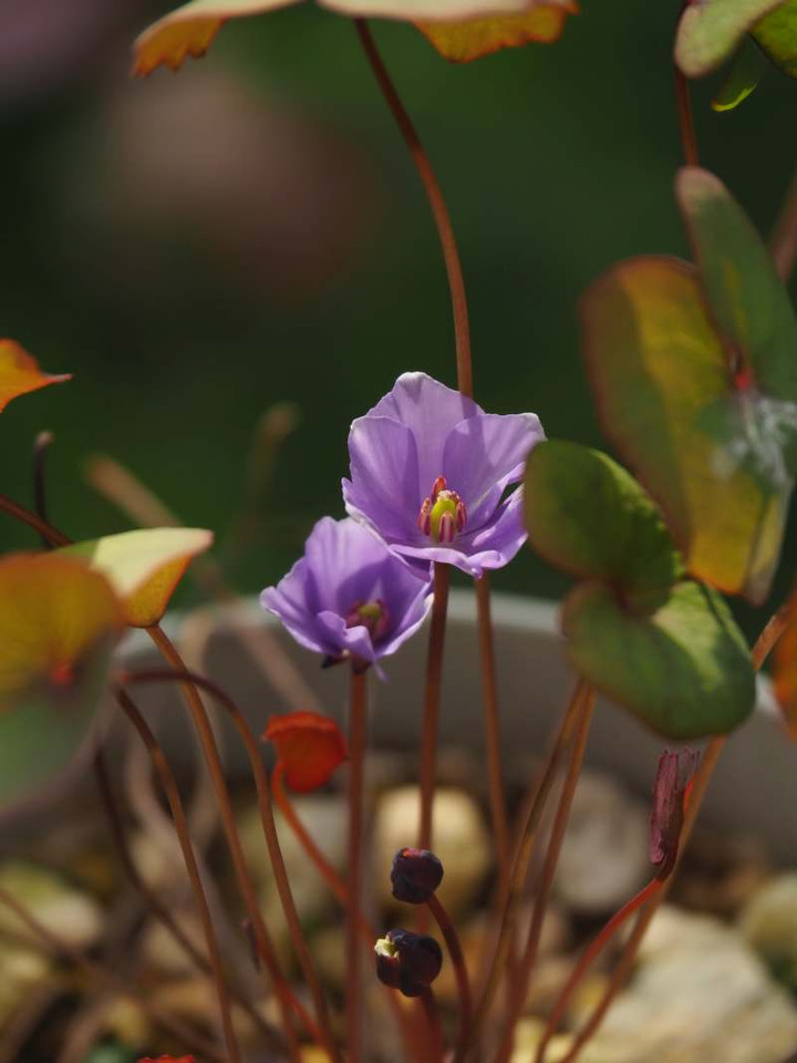 P3096917