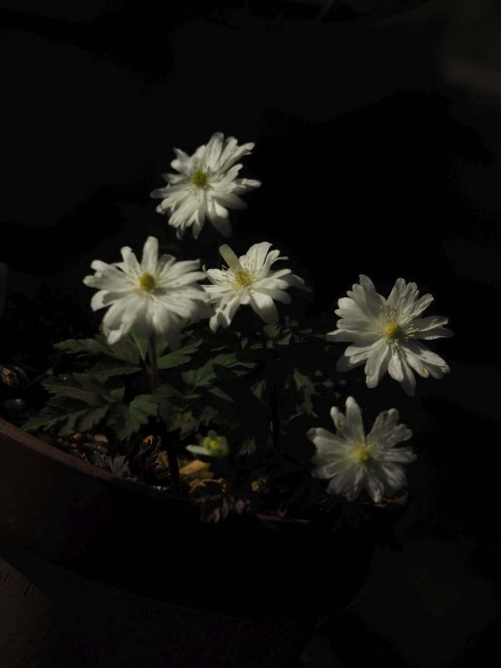 P3106944