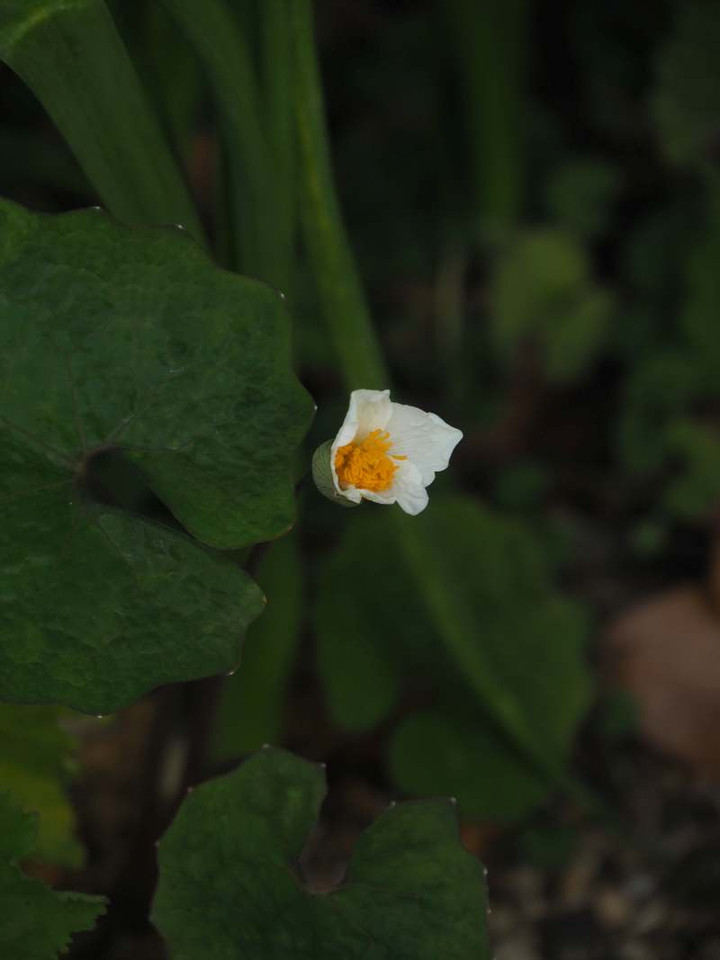 P3106948