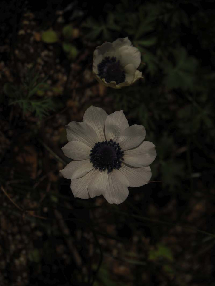 P3106951