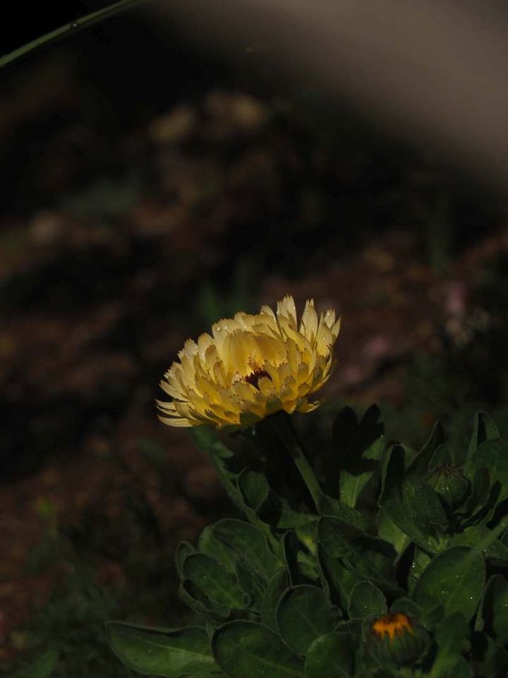 P3106955