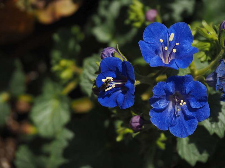 P3116985