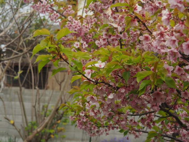 P3127048