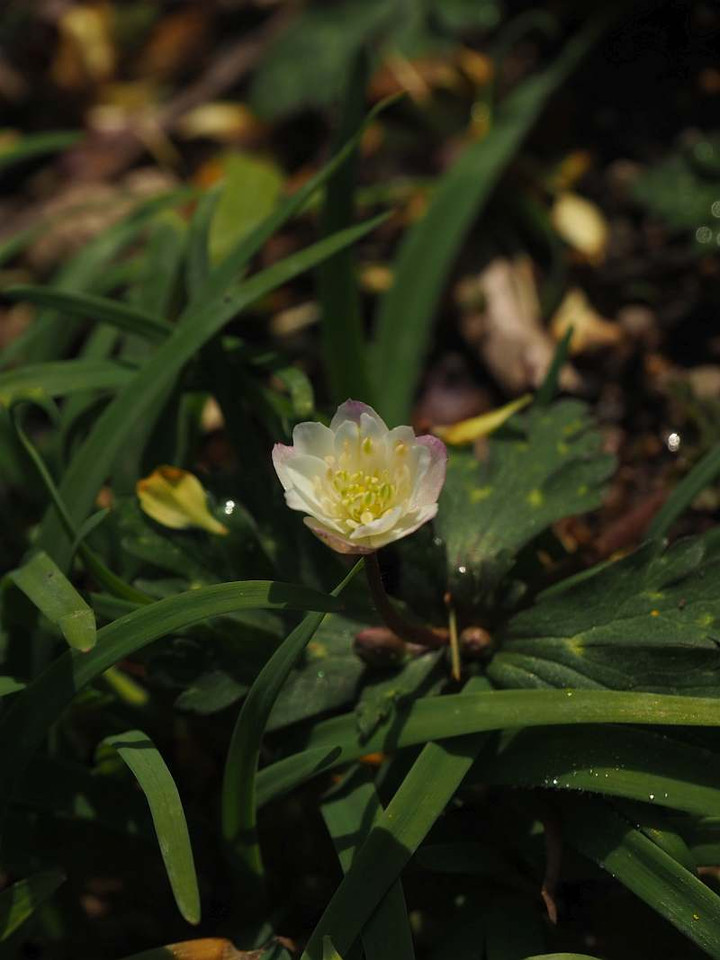 P3157360