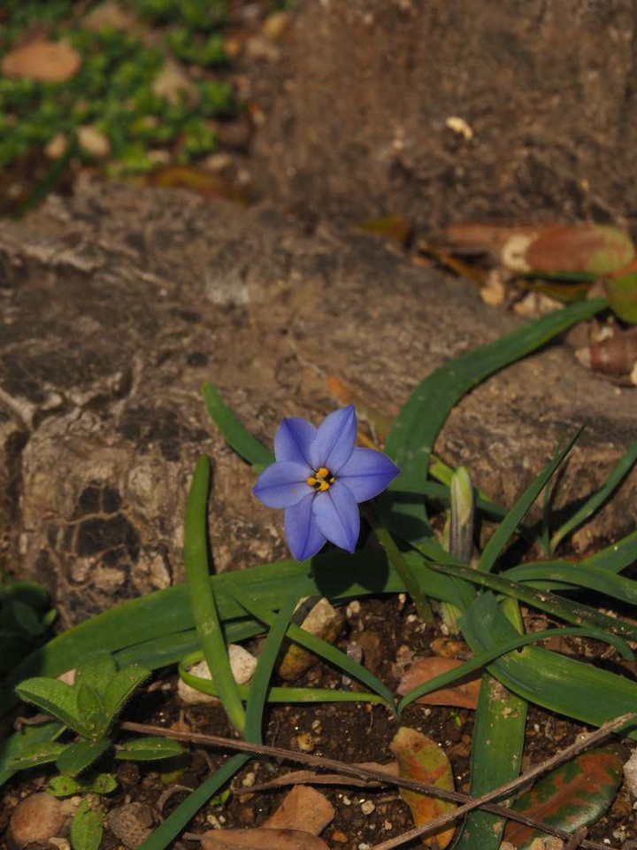 P3157366