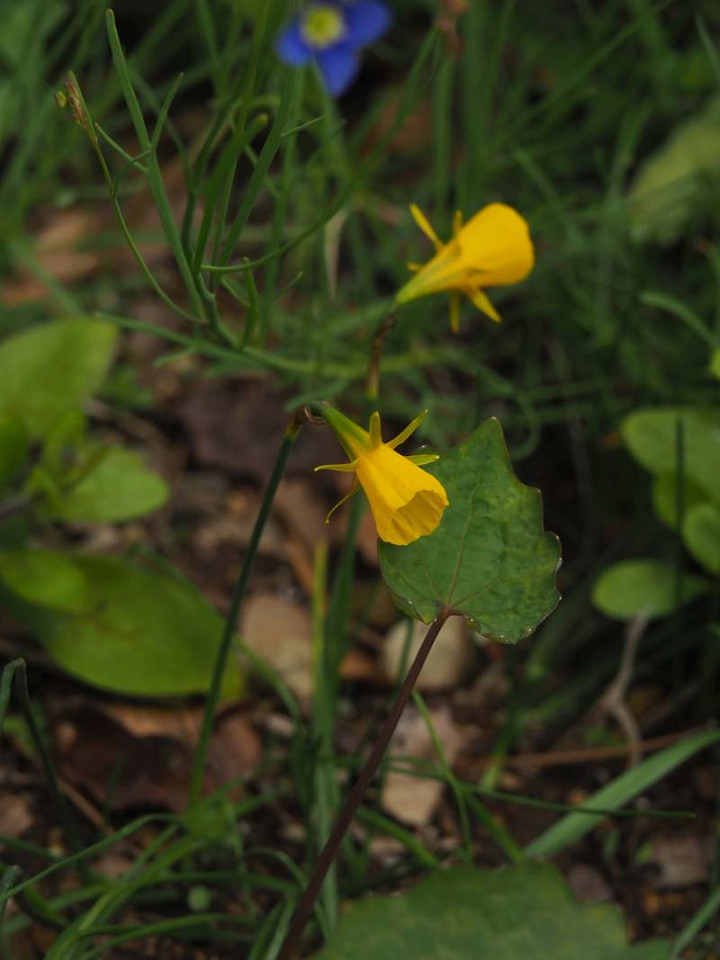 P3167404