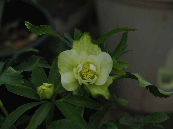 P3177440