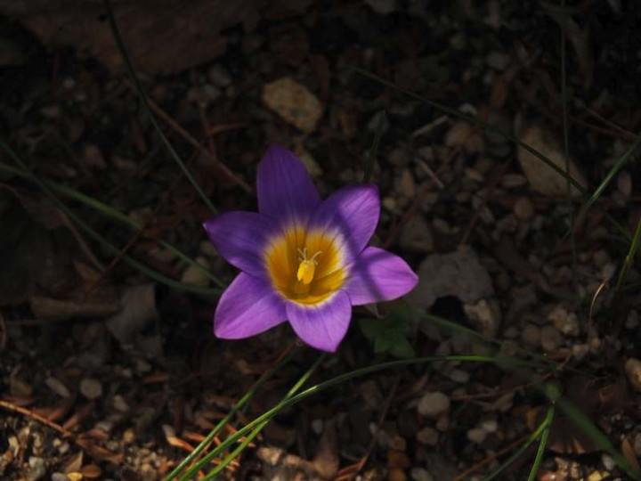 P3177450