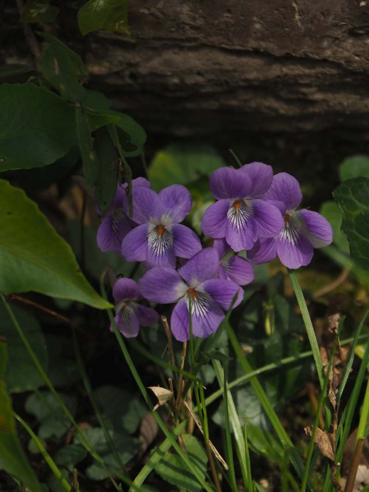 P3197522