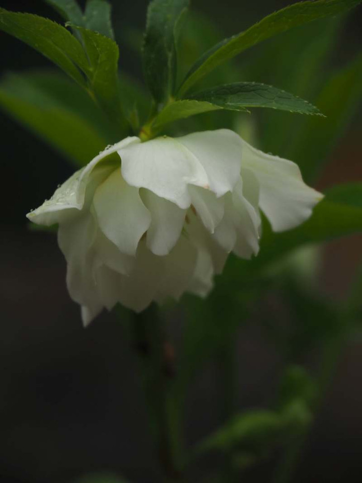 P3127031