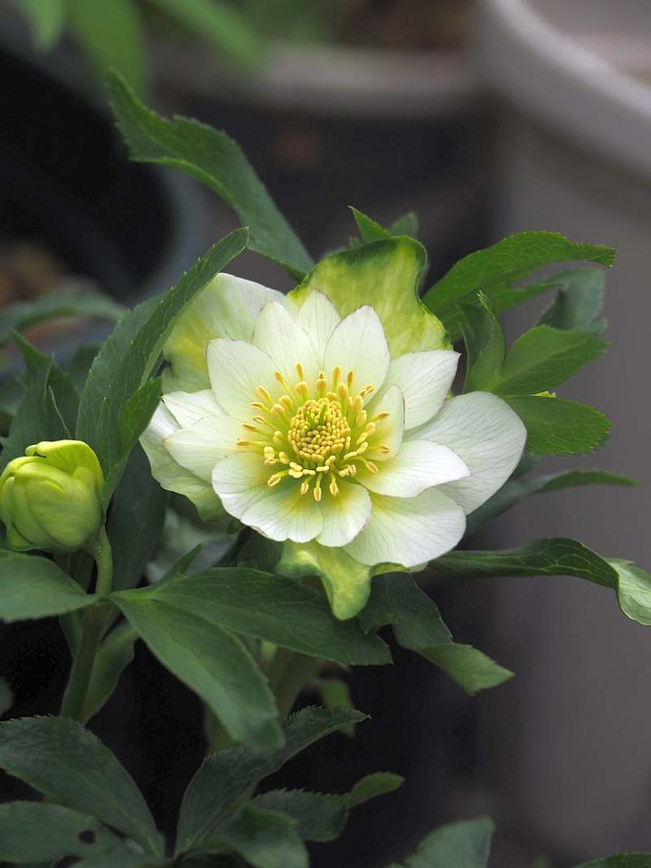 P3207600