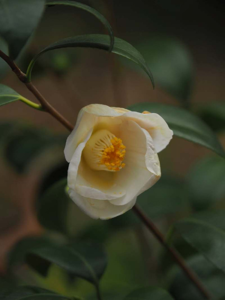 P3207612