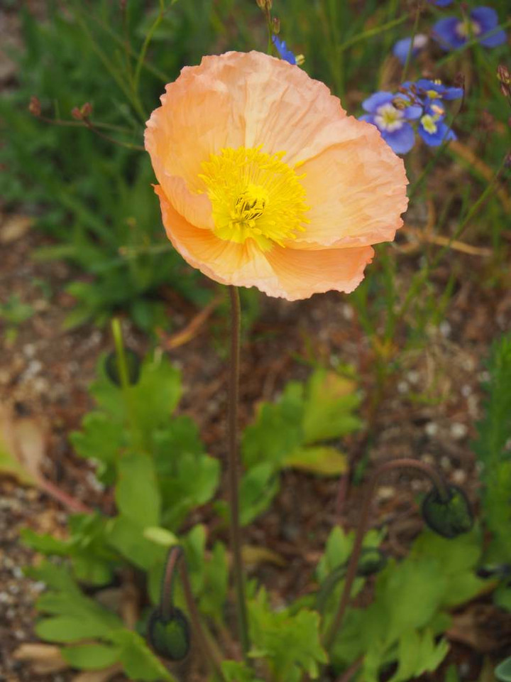 P3207633
