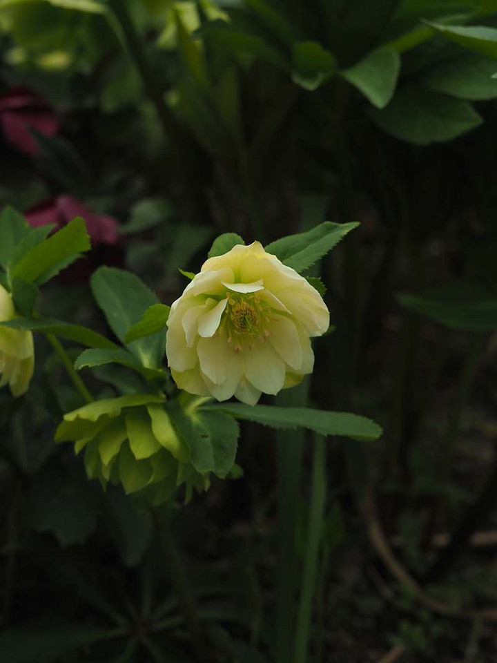 P3207643