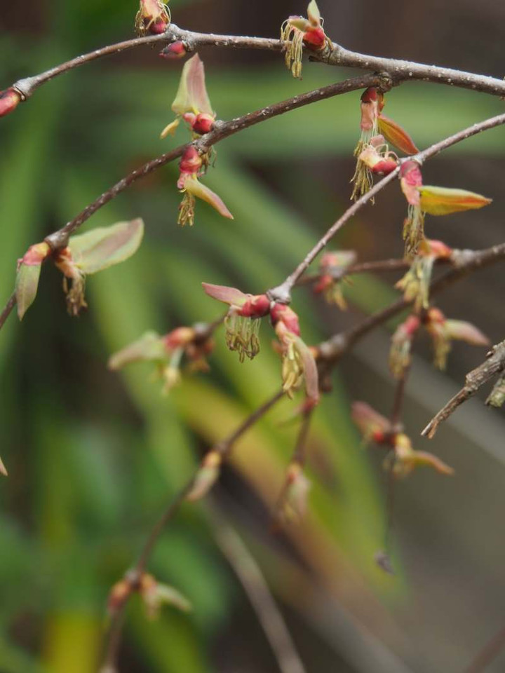 P3207648