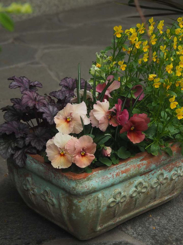 P3217677