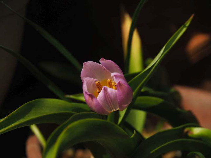 P3227687