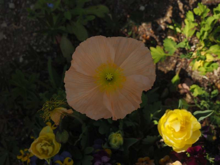 P3248022