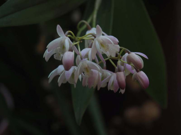 P3248029