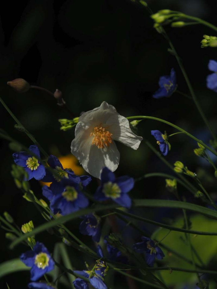 P3248031