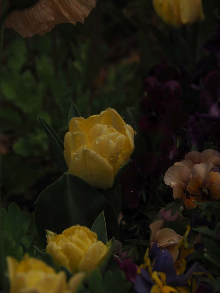 P3258088