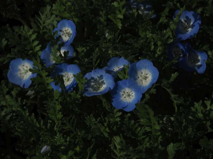 P3258113