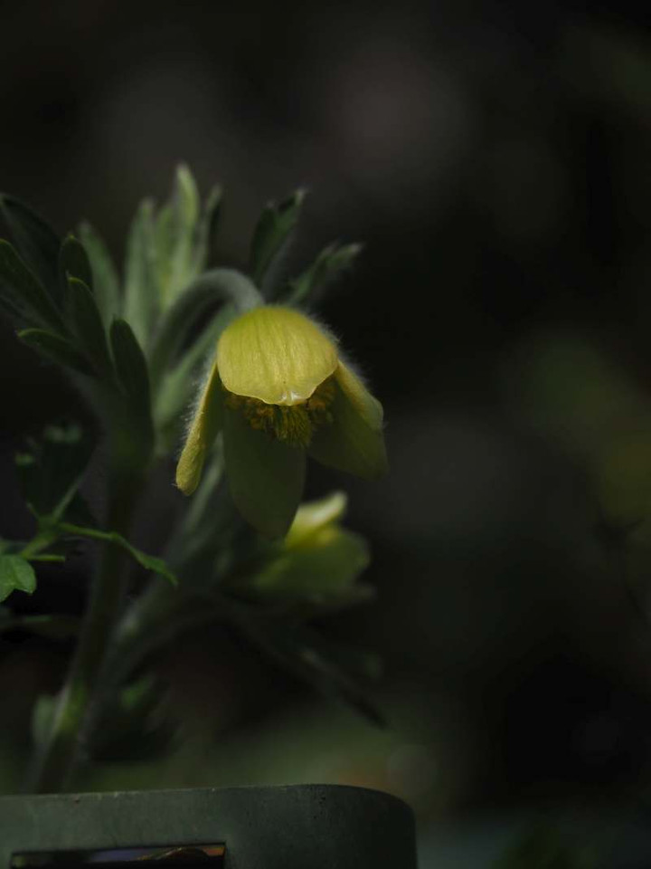 P3268146