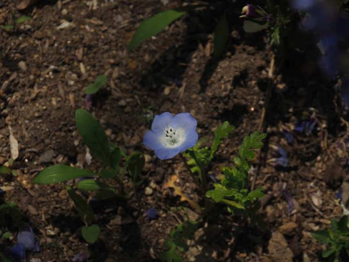 P3268157