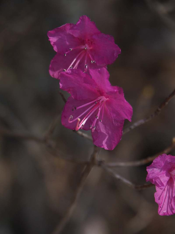 P3278417