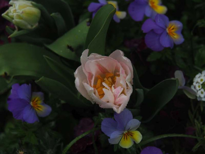 P3288709