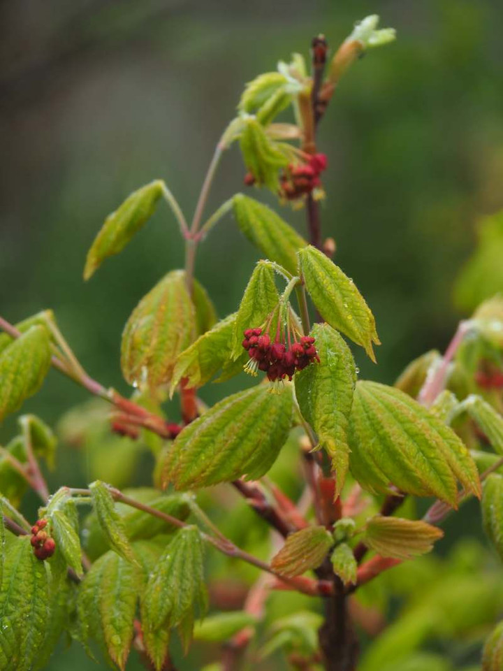 P3288721