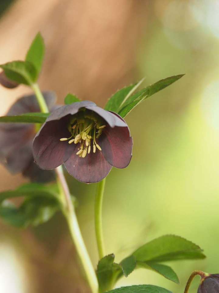 P3298757