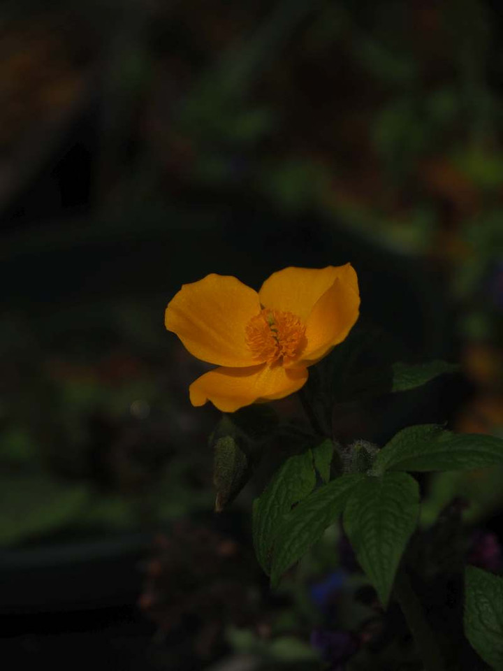 P3298758