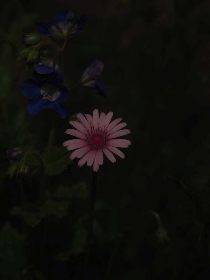 P3298773