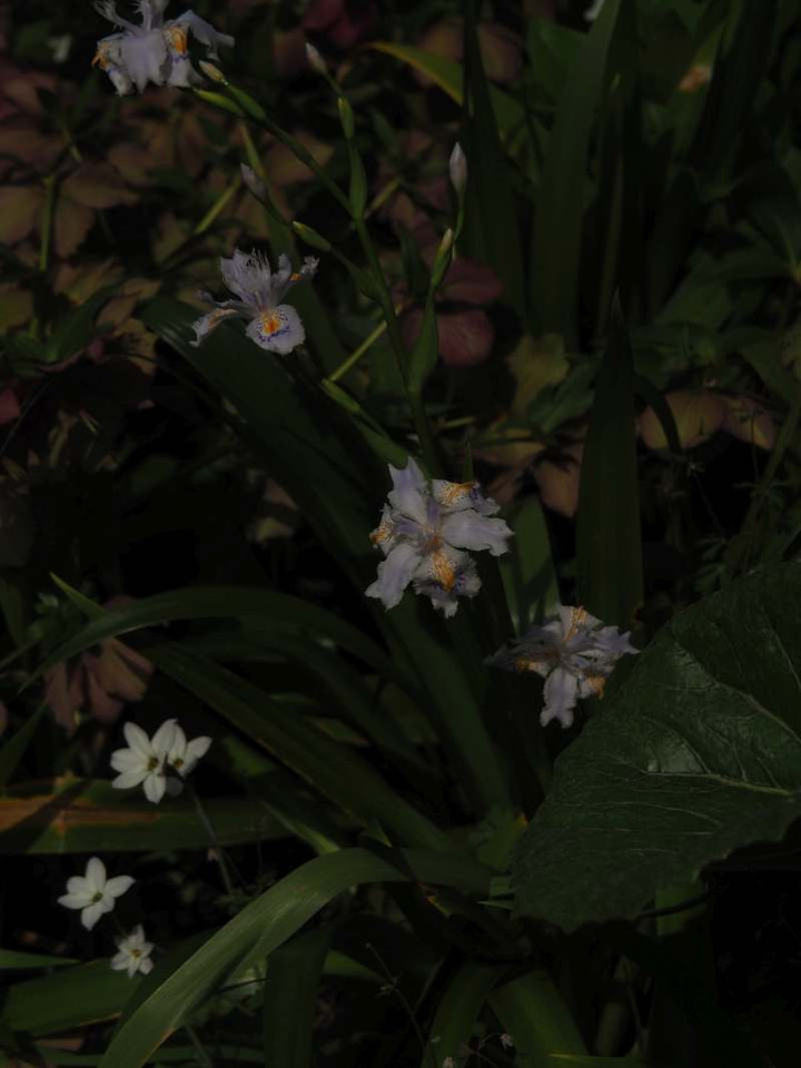 P3298788