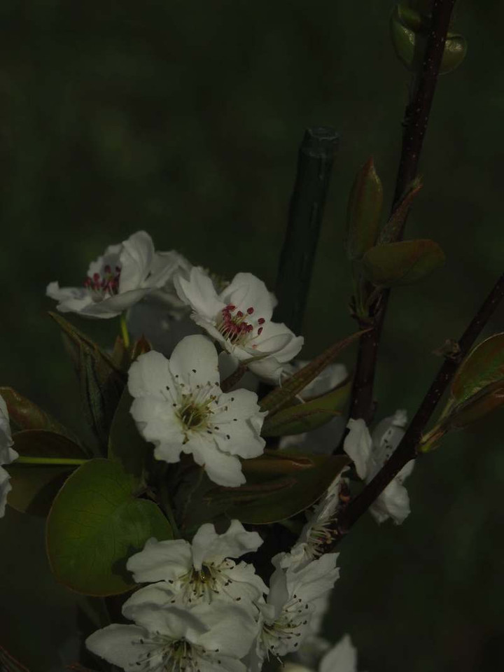 P3298792