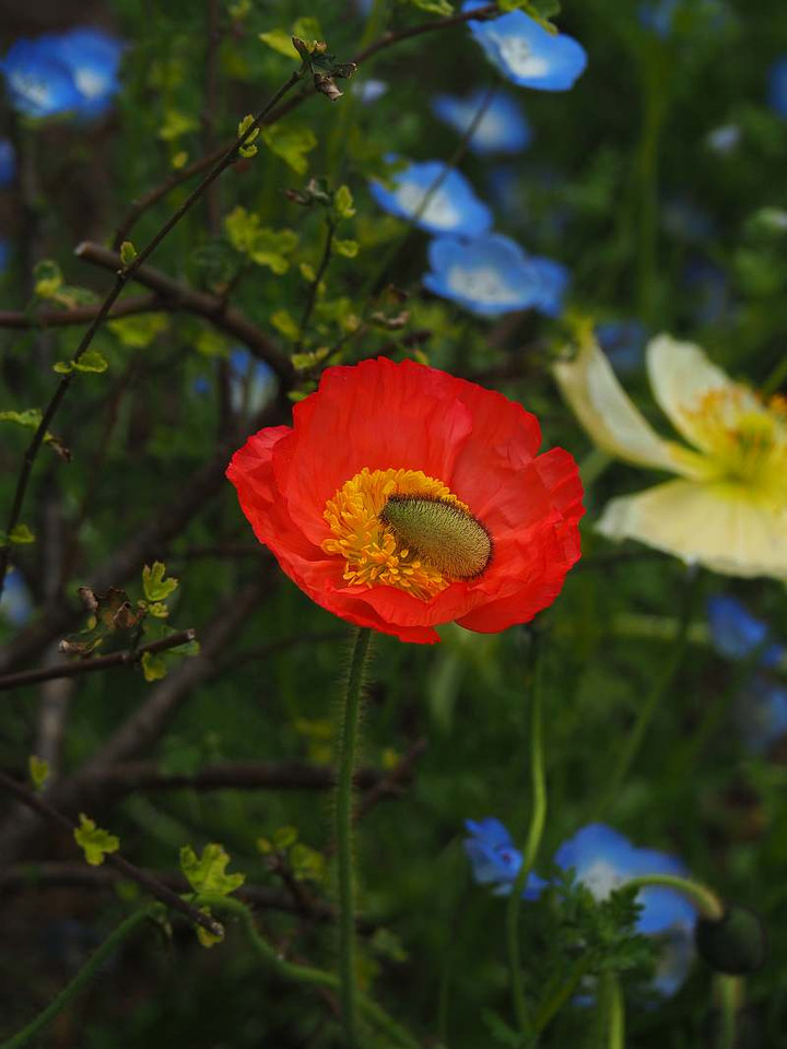 P3308803