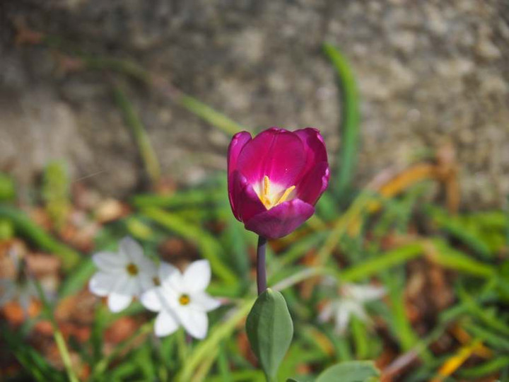 P3308806