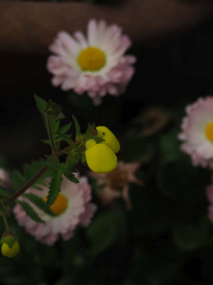 P3308810