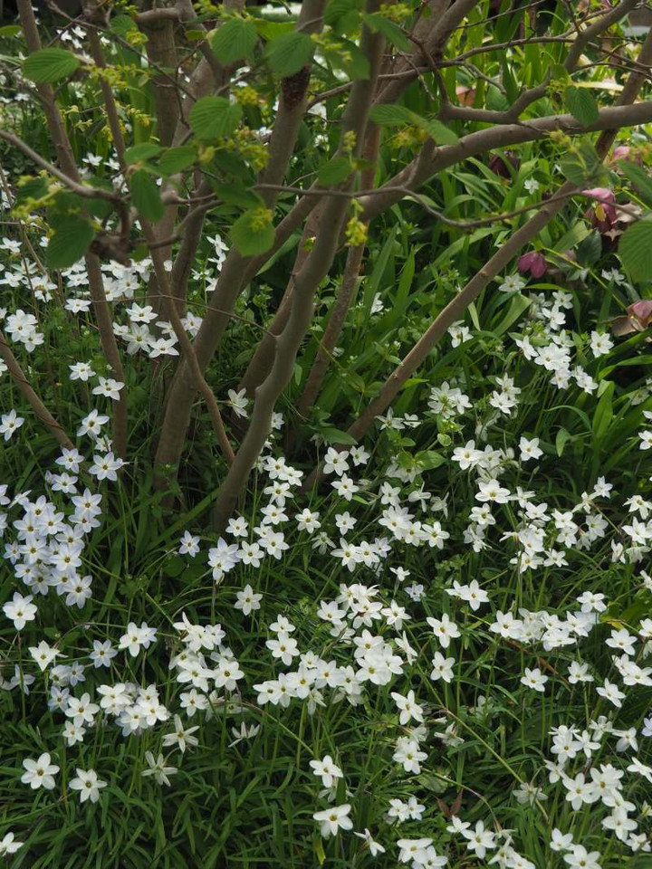 P3308831
