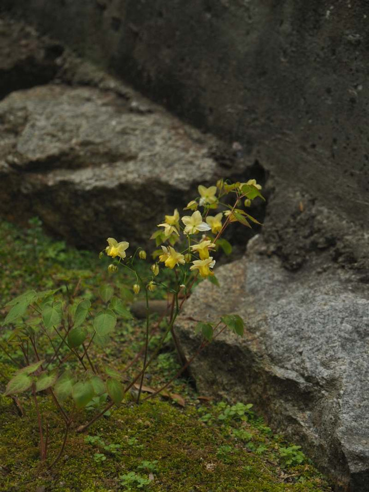 P4049013