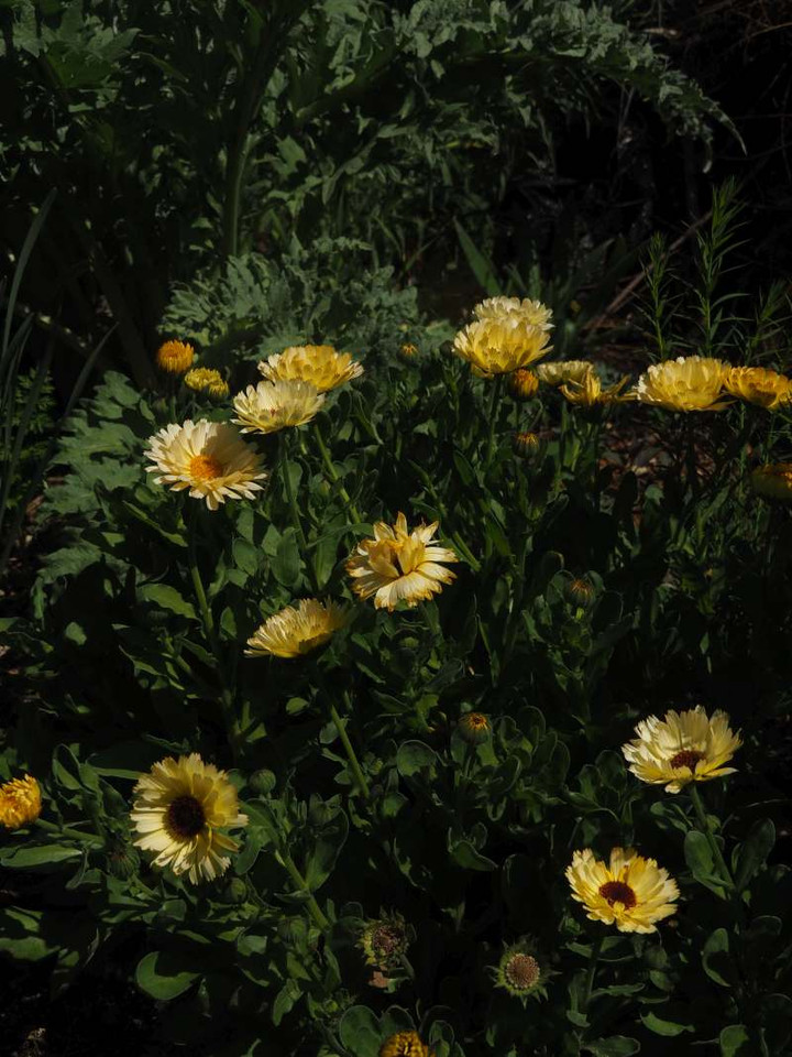 P4079108