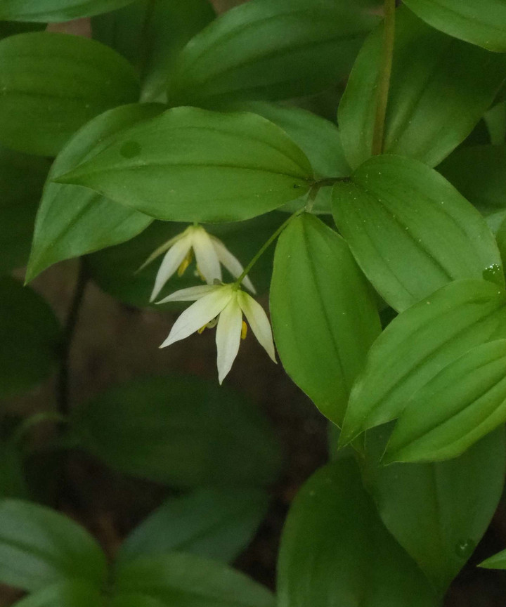 P4139571