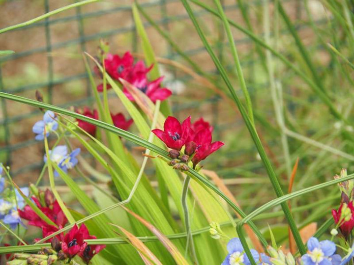 P4139607