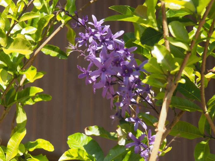 P4260727