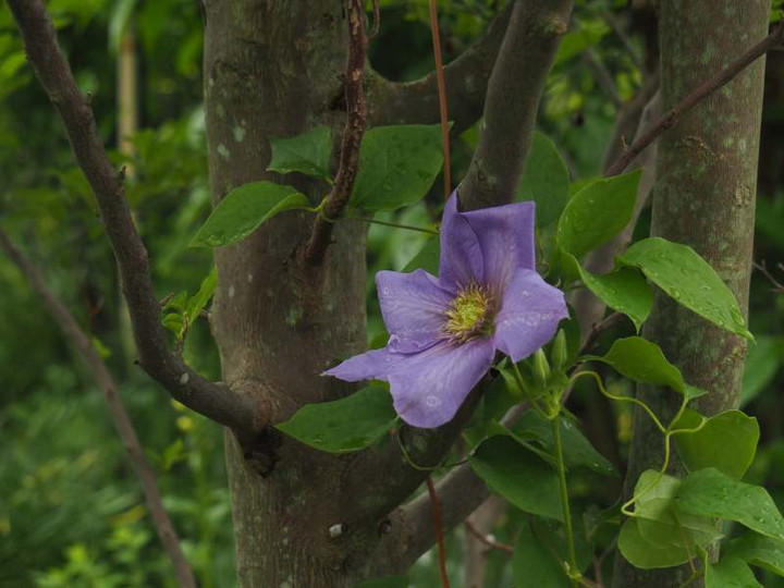 P4280811