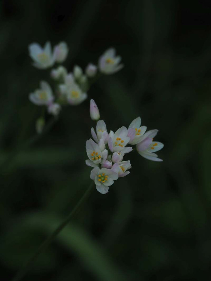 P4300876