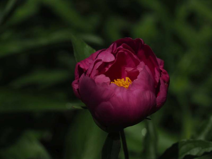 P4300878